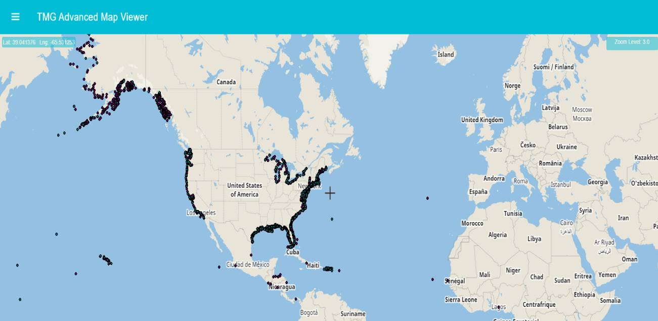 ESRI MapServer